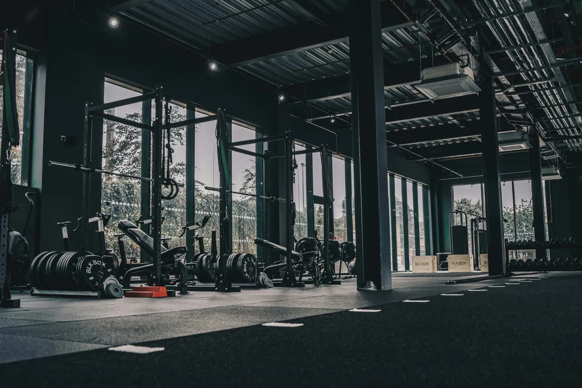 Interior de un gimnasio con racks, barras y pesas